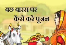 एयर इंडिया का विमान हादसे का शिकार होते होते बचा 66 1