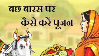 एयर इंडिया का विमान हादसे का शिकार होते होते बचा 66 1