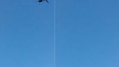 एयर इंडिया का विमान हादसे का शिकार होते होते बचा 99