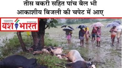 आकाशीय बिजली गिरने से दो किशोर की मौत, तीस बकरी सहित पांच बैल भी आकाशीय बिजली की चपेट में आए, महिला बाल विकास परियोजना कार्यालय के कंप्यूटर भी क्षतिग्रस्त 14 04