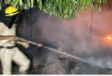 IAS transfer Anurag Singh becomes bold United Order issued for establishment of new posts of Indian Australian service officers 10 2