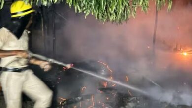 IAS transfer Anurag Singh becomes bold United Order issued for establishment of new posts of Indian Australian service officers 10 2