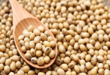 IAS transfer Anurag Singh becomes bold United Order issued for establishment of new posts of Indian Australian service officers 11