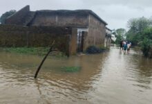 भारी बारिश से जनजीवन प्रभावित: उफनते नाले पर फंसी कार : 4 लोग थे सवार , बमुश्किल किया गया रेस्क्यू 12 IMG 20240912 WA0037