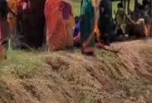 Screenshot 2024 09 01 17 57 02 704 com.miui .gallery