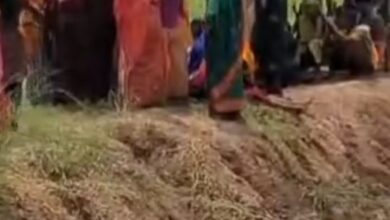 Screenshot 2024 09 01 17 57 02 704 com.miui .gallery