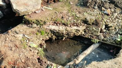 Screenshot 2024 09 05 10 35 46 355 com.whatsapp