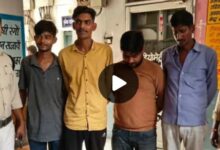 Screenshot 2024 09 05 16 05 12 597 com.miui .gallery