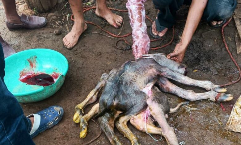 Screenshot 2024 09 06 18 13 18 362 com.whatsapp