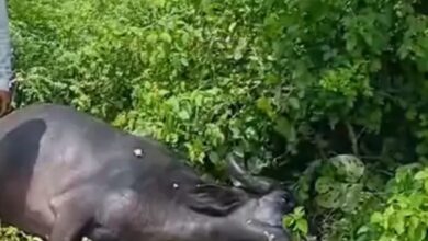 Screenshot 2024 09 08 13 35 29 010 com.ak .ta .dainikbhaskar.activity