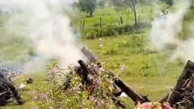 Screenshot 2024 09 09 17 19 43 265 com.miui .gallery