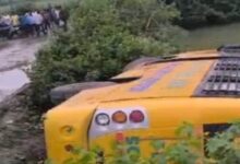 Screenshot 2024 09 13 09 55 54 064 com.miui .gallery