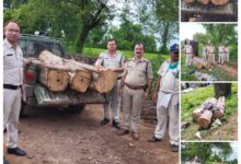 Screenshot 2024 09 15 17 40 26 325 com.miui .gallery