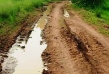 Screenshot 2024 09 17 09 35 42 695 com.whatsapp