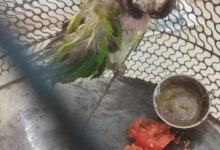 Screenshot 2024 09 18 08 23 58 078 com.whatsapp