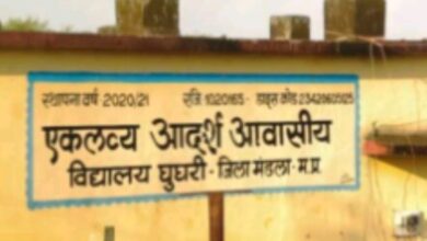 Screenshot 2024 09 20 09 55 30 534 com.miui .gallery