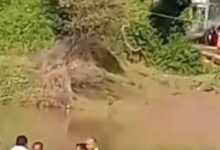 Screenshot 2024 09 20 13 41 53 258 com.miui .gallery 1