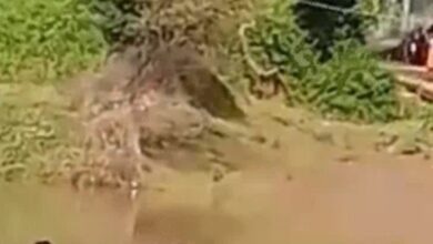 Screenshot 2024 09 20 13 41 53 258 com.miui .gallery 1