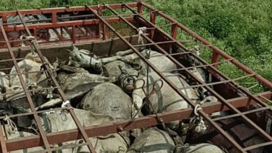 Screenshot 2024 09 20 22 22 47 720 com.whatsapp