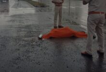 Screenshot 2024 09 24 08 53 36 758 com.whatsapp