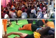 Screenshot 2024 09 24 10 04 31 327 com.miui .gallery