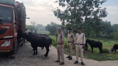 Screenshot 2024 09 24 13 44 17 680 com.whatsapp