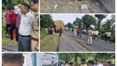 Screenshot 2024 09 24 16 29 21 619 com.miui .gallery