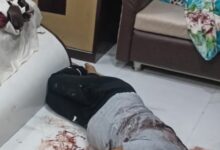 Screenshot 2024 09 25 20 46 43 548 com.whatsapp