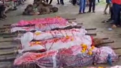 Screenshot 2024 09 25 23 42 38 625 com.miui .gallery