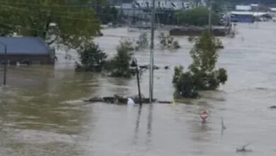 Screenshot 2024 09 29 09 38 13 622 com.whatsapp