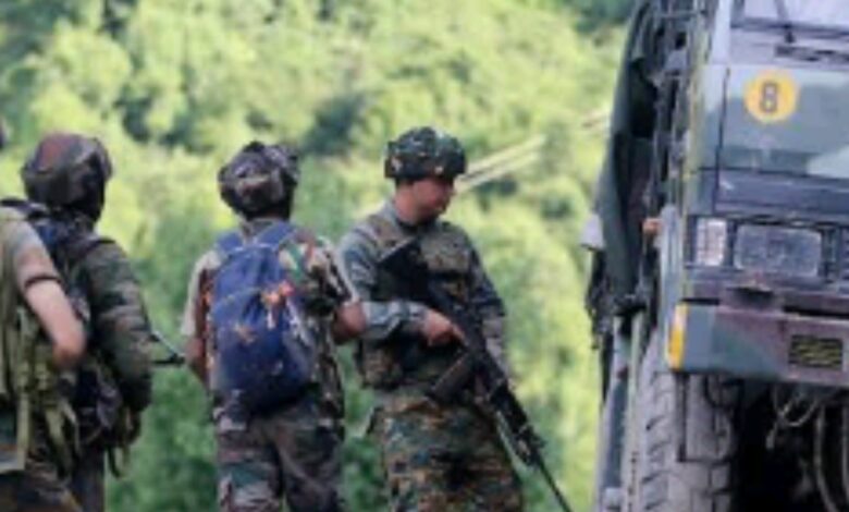 Screenshot 2024 09 29 10 23 08 883 com.miui .gallery