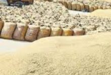 Screenshot 2024 09 29 10 40 15 651 com.miui .gallery