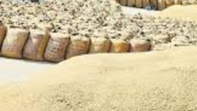 MP : 46 लाख मीट्रिक टन धान समर्थन मूल्य पर खरीदेगी सरकार, पंजीयन प्रक्रिया जारी.... पढ़ें पूरी खबर 9 Screenshot 2024 09 29 10 40 15 651 com.miui .gallery