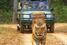 Screenshot 2024 09 29 11 46 00 744 com.whatsapp