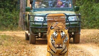 Screenshot 2024 09 29 11 46 00 744 com.whatsapp