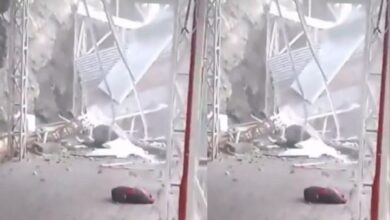 एयर इंडिया का विमान हादसे का शिकार होते होते बचा 2024 09 02T175603.808