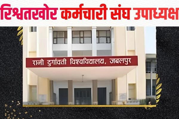 आरडीयू में कर्मचारी संघ के उपाध्यक्ष को रिश्वत लेते लोकायुक्त ने दबोचा 1 एयर इंडिया का विमान हादसे का शिकार होते होते बचा 2024 09 05T133459.598