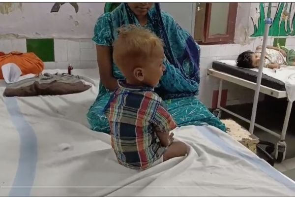 जबलपुर में जापानी बुखार की दस्तक, 2 मरीज सामने आए- मझौली और रांझी में अलर्ट, स्वास्थ्य विभाग ने शुरू किया सर्वे 1 गांव में न चूल्हे जले न आंसू रुके 81