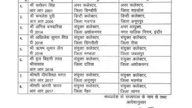 IMG 20241028 WA00891