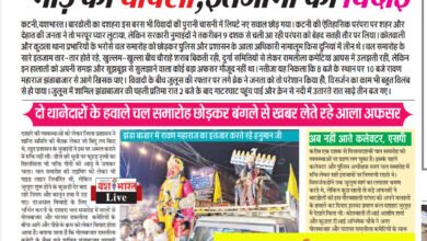 भीड़ की वापसी, इंतजामों की विदाई, सालों बाद चल समारोह में लौटी भीड़, लेकिन प्रशासन के इंतजाम चारों खाने चित्त 8 IMG 20241013 191954