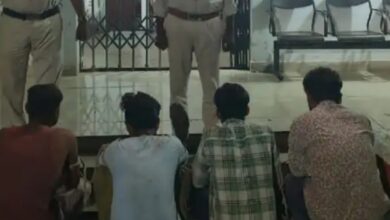 Screenshot 2024 10 01 11 44 04 750 com.miui .gallery