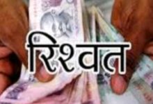 Screenshot 2024 10 03 15 02 00 584 com.miui .gallery