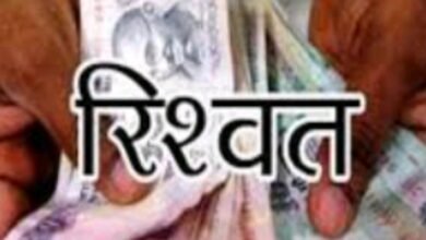 Screenshot 2024 10 03 15 02 00 584 com.miui .gallery