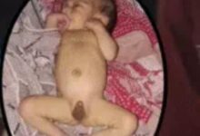 Screenshot 2024 10 05 11 07 34 169 com.miui .gallery