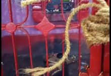 Screenshot 2024 10 07 12 04 58 985 com.whatsapp