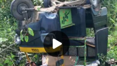 Screenshot 2024 10 09 14 38 08 412 com.miui .gallery