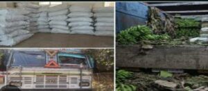 Screenshot 2024 10 15 16 05 01 98 40deb401b9ffe8e1df2f1cc5ba480b12 1