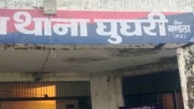 Screenshot 2024 10 19 10 45 56 643 com.whatsapp