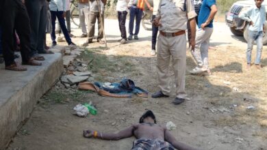 Screenshot 2024 10 23 14 54 24 456 com.whatsapp