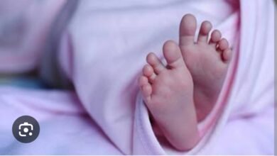 Screenshot 2024 10 26 00 09 46 55 40deb401b9ffe8e1df2f1cc5ba480b12